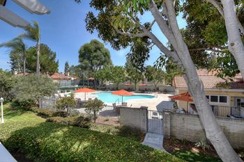 Pool view